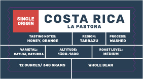 Costa Rica Tarrazu La Pastora